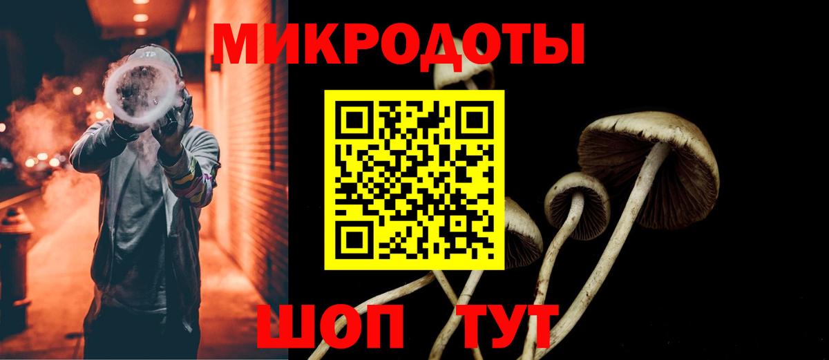Галлюциногенные грибы мухоморы Артёмовский
